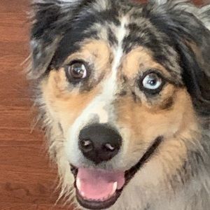 Meet your Posher, Denny